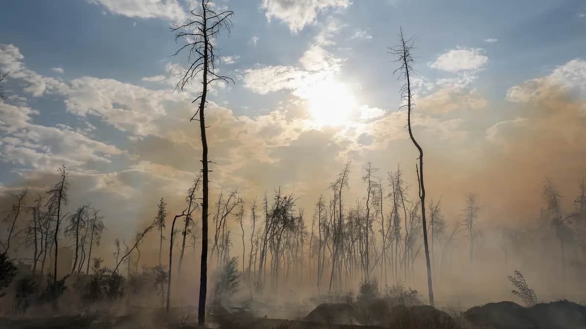 Smoke rises from a wooded area of Ukraine’s second city Kharkiv following a Russian glide bomb attack, 17 September 2024. Photo: EPA-EFE / SERGEY KOZLOV