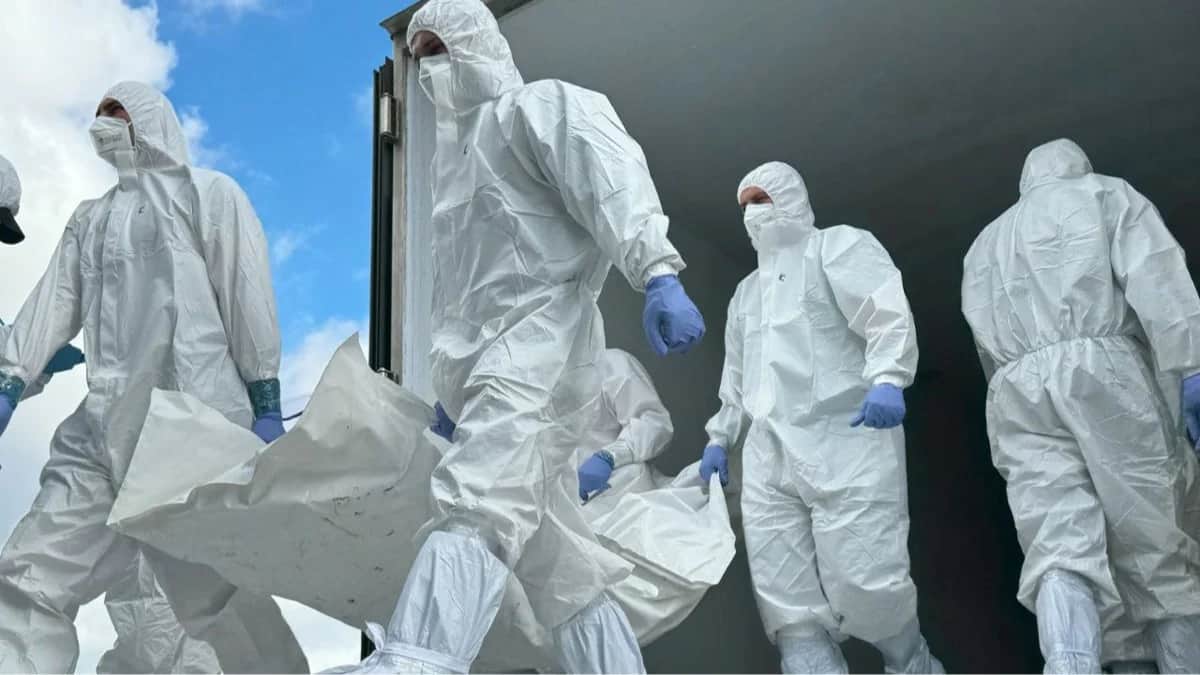 Репатриация тел погибших украинских военнослужащих, Украина, 18 сентября 2025 года. Фото: <a href="https://t.me/SBUkr/15875" target="_blank">СБУ</a>