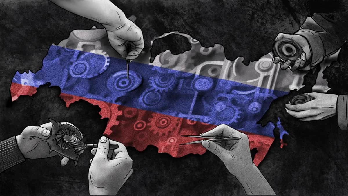 Иллюстрация: Анастасия Кшиштоф