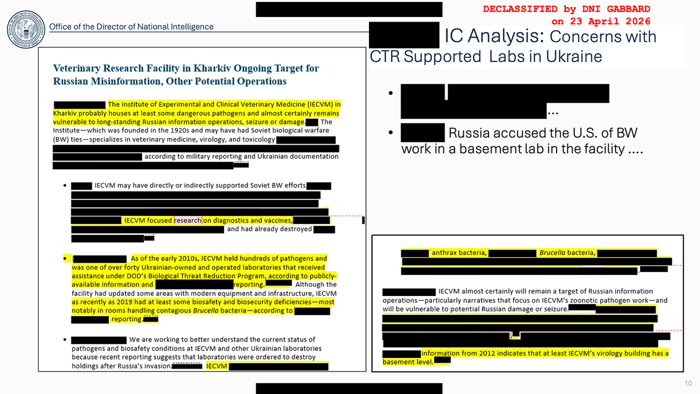 Скриншот из презентации Тулси Габбард