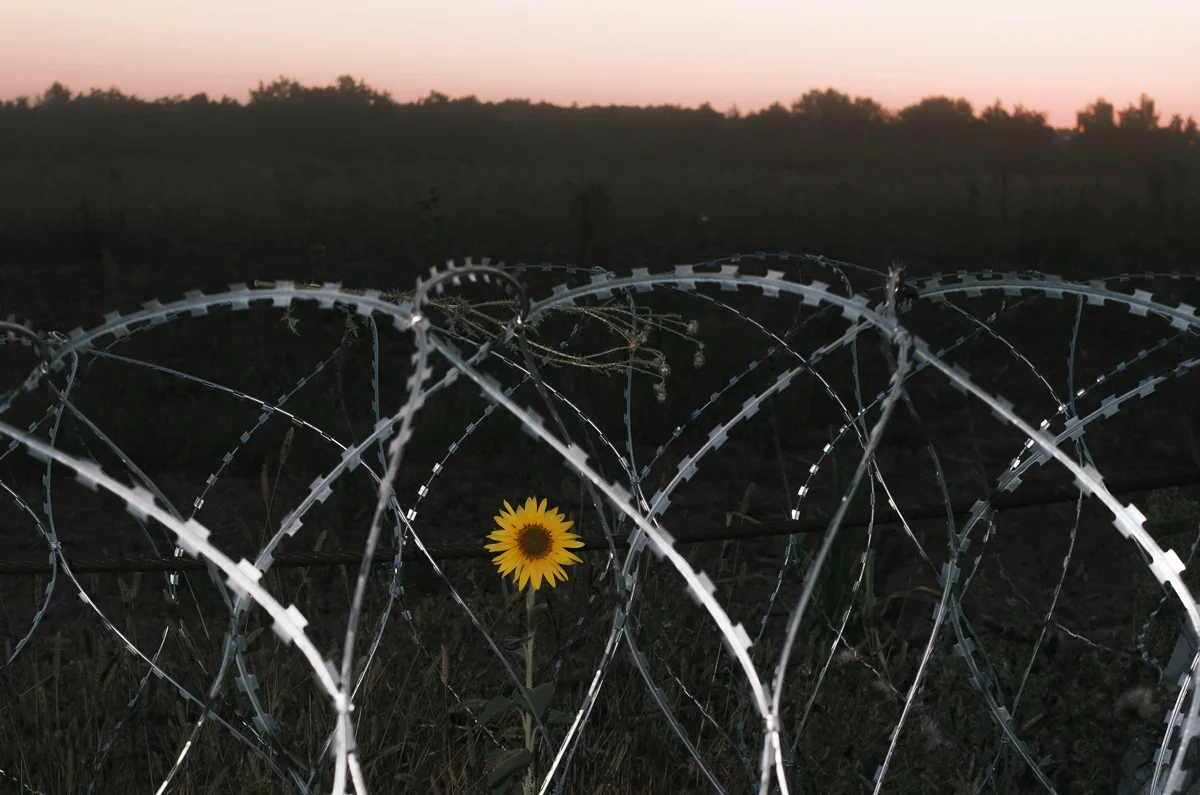 Fortifications in the Sumy region near the Russian border, 17 August 2024. Photo: George Ivanchenko / EPA