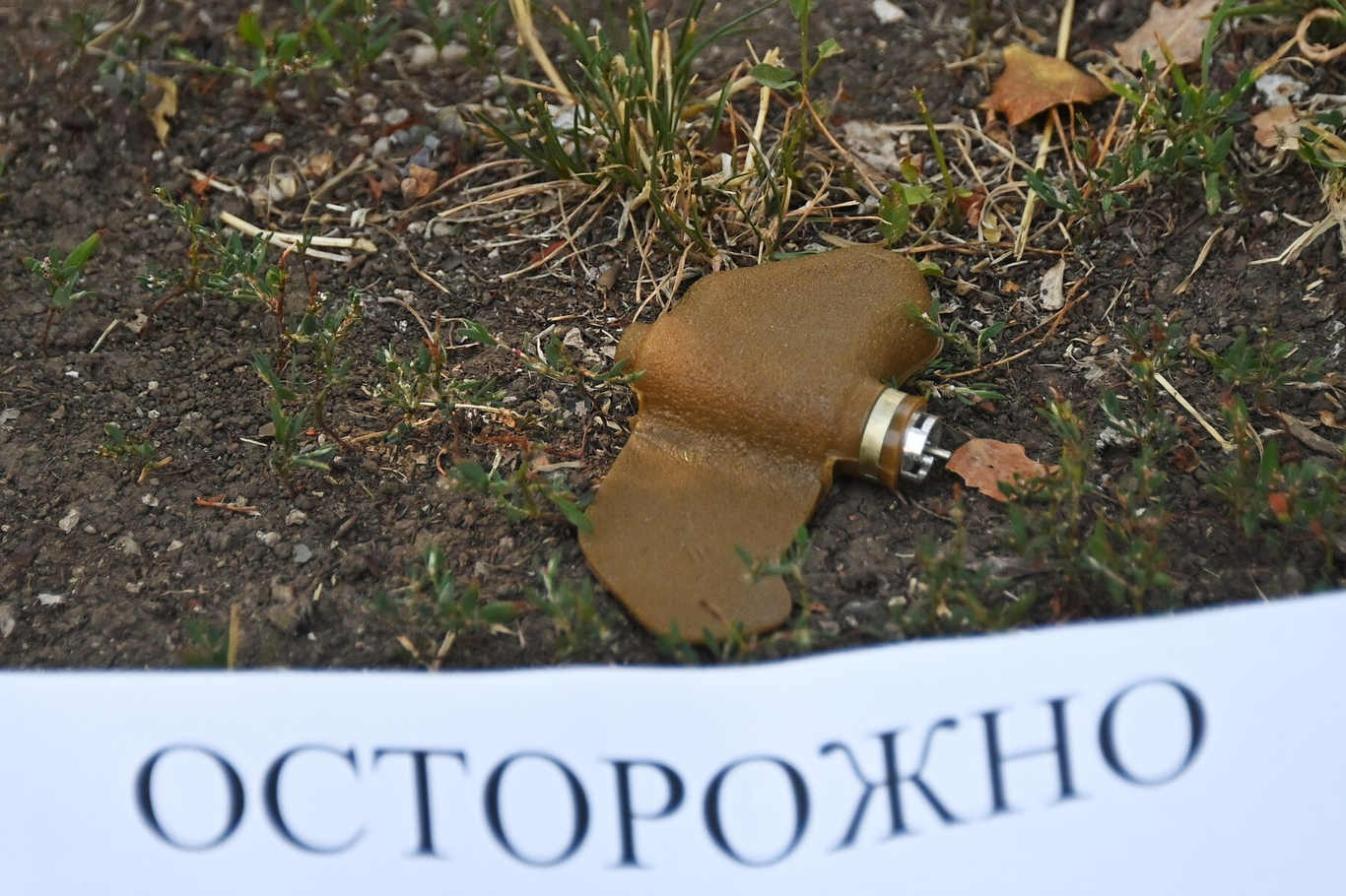 Мина ПФМ «Лепесток». Фото: РИА Новости / Спутник / Profimedia