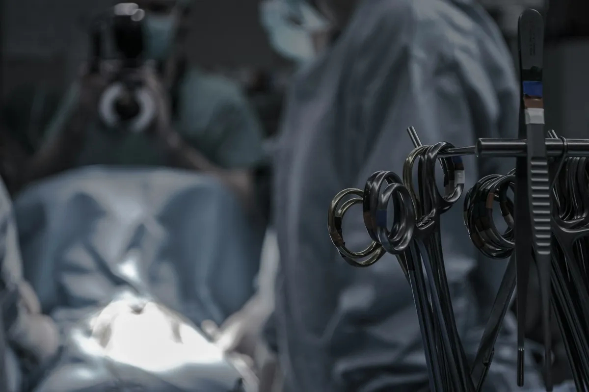 Фото: Piron Guillaume / Unsplash