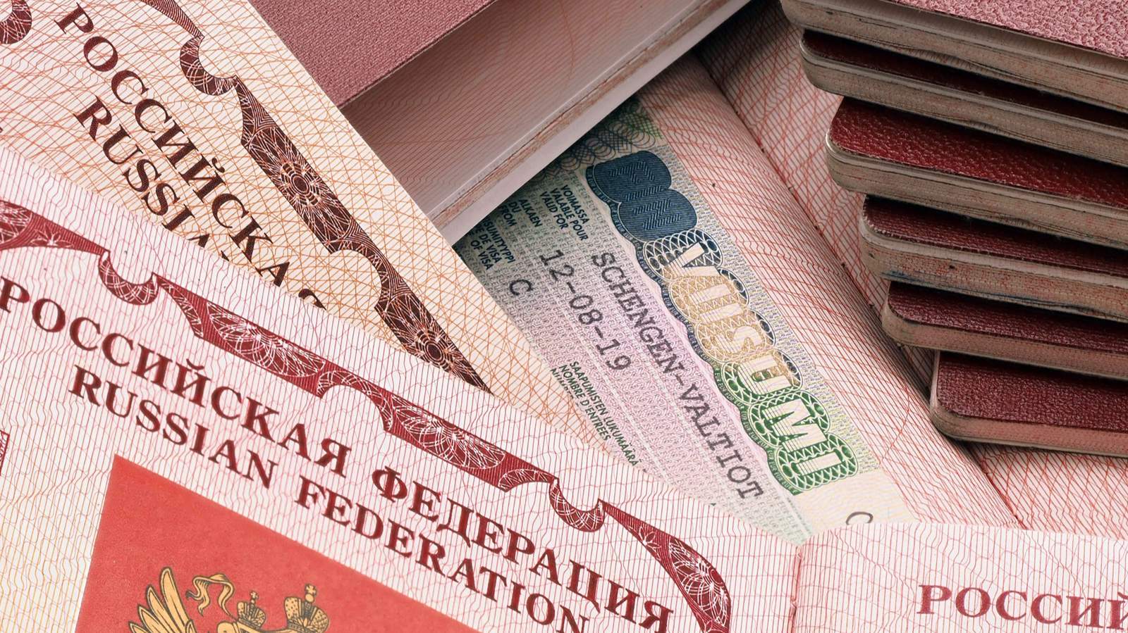 Фото: Евгений Павленко / Коммерсантъ / Sipa USA / Vida Press
