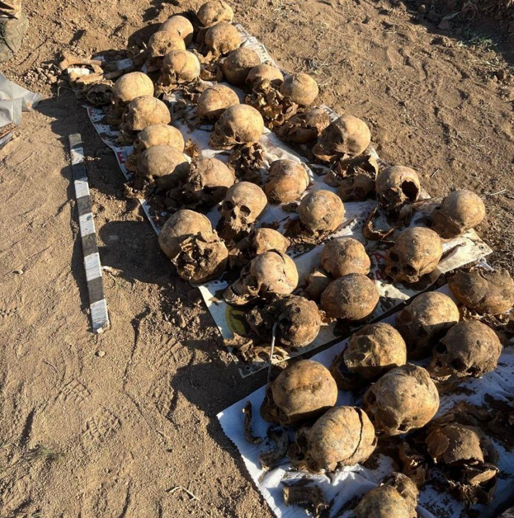 Обнаруженные после распашки поля кости в хуторе Новомаксимовском. Фото: Блокнот Волгоград