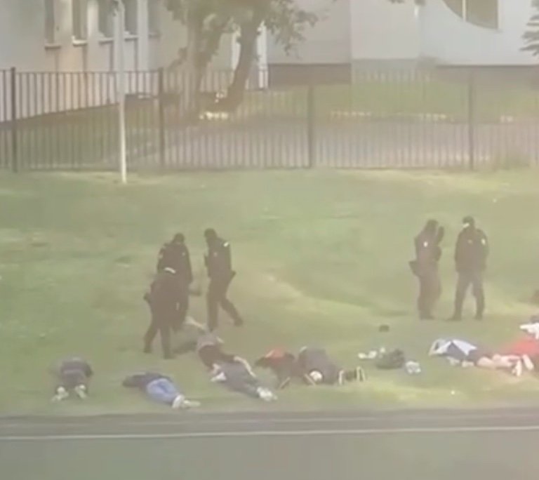 Задержание 50 мигрантов, игравших на футбольном поле недалеко от Можайского шоссе. Фото: скрин видео