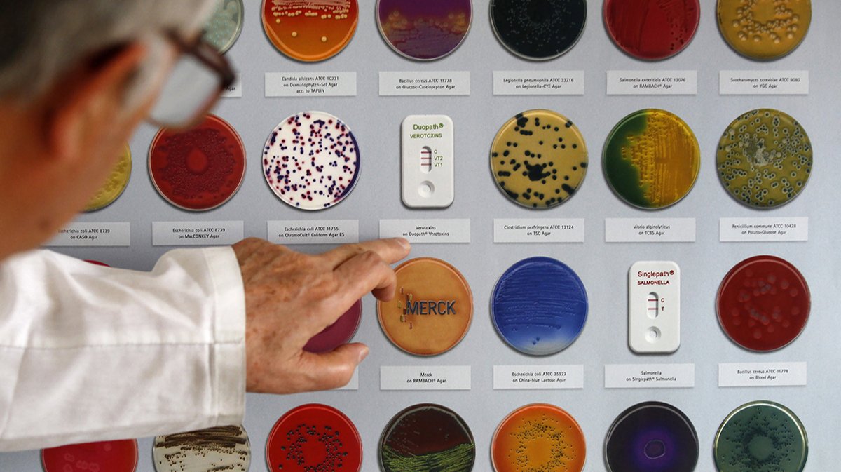 ИИ против бактерий