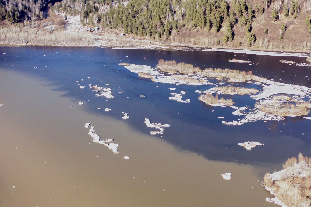 Черная от угля река Уса встречается с желтой от золотодобычи Томью, Кемеровская область