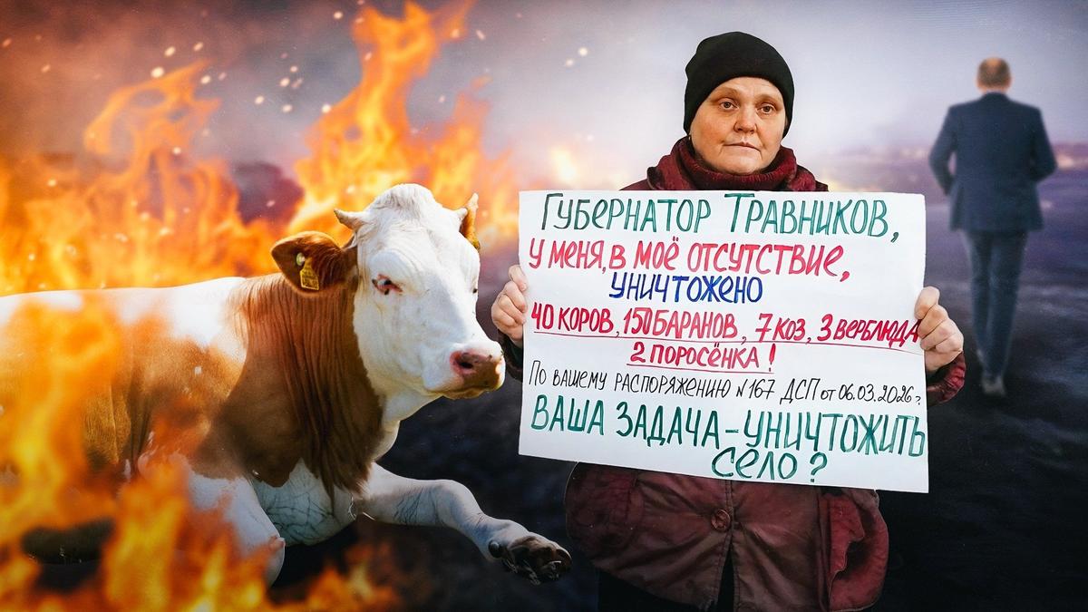 «Если приедут убивать наш скот, то только через наш труп. Нам что так смерть, что так»