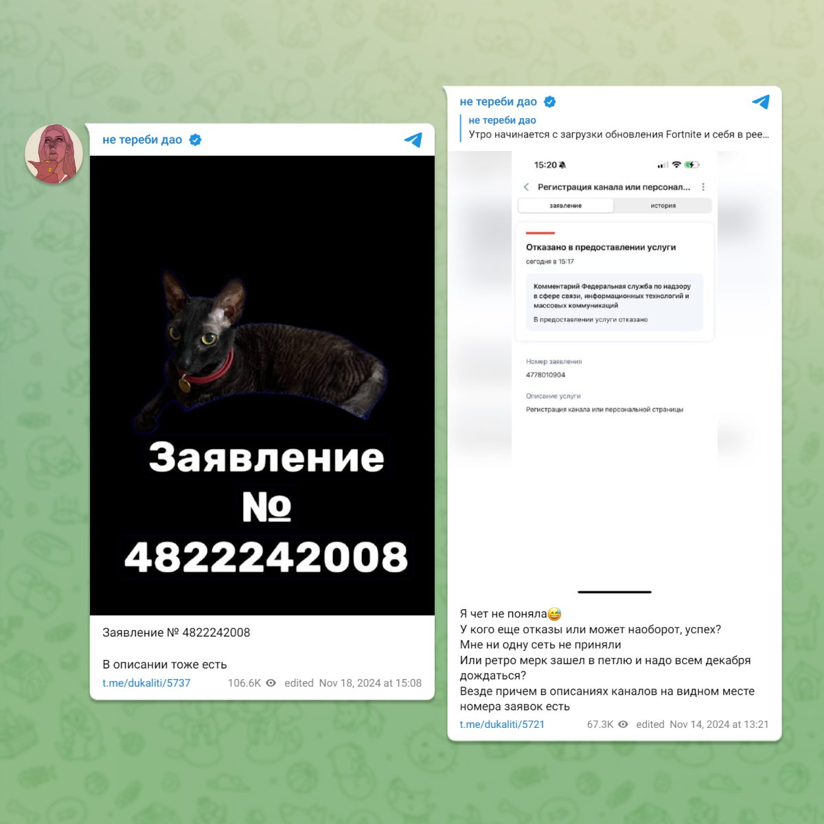 Посты Дукалис о регистрации канала в Роскомнадзоре