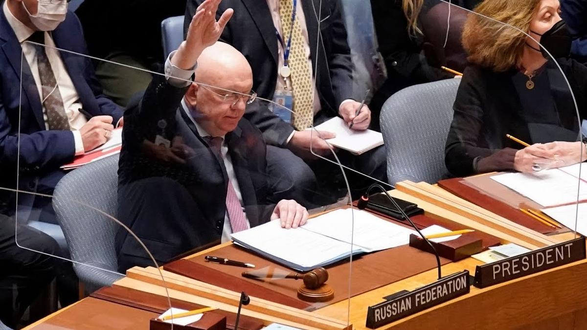 Василий Небензя. Фото: скрин видео