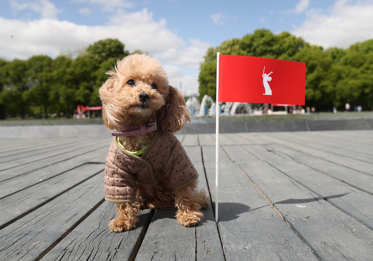 Праздничные мероприятия в честь Дня Победы в ЦПКиО и отдыха имени Горького, Москва, 9 мая 2025 года. Фото: Василий Кузьмичёнок / Агентство «Москва»